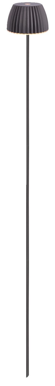 Schwarze, schlanke Außen-Stehleuchte mit geriffeltem Schirm und warmem Lichtsaum, freigestellt auf weißem Hintergrund, Frontalansicht.