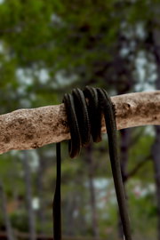 Nahaufnahme eines schwarzen Seils, mehrfach um einen waagerechten Holzast gewickelt, mit herabhängenden Enden; Perspektive: seitliche Nahansicht auf Augenhöhe vor unscharfem Waldhintergrund