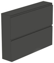 Schwarzer Hängeschuhschrank mit zwei Klappen, seitliche Perspektive