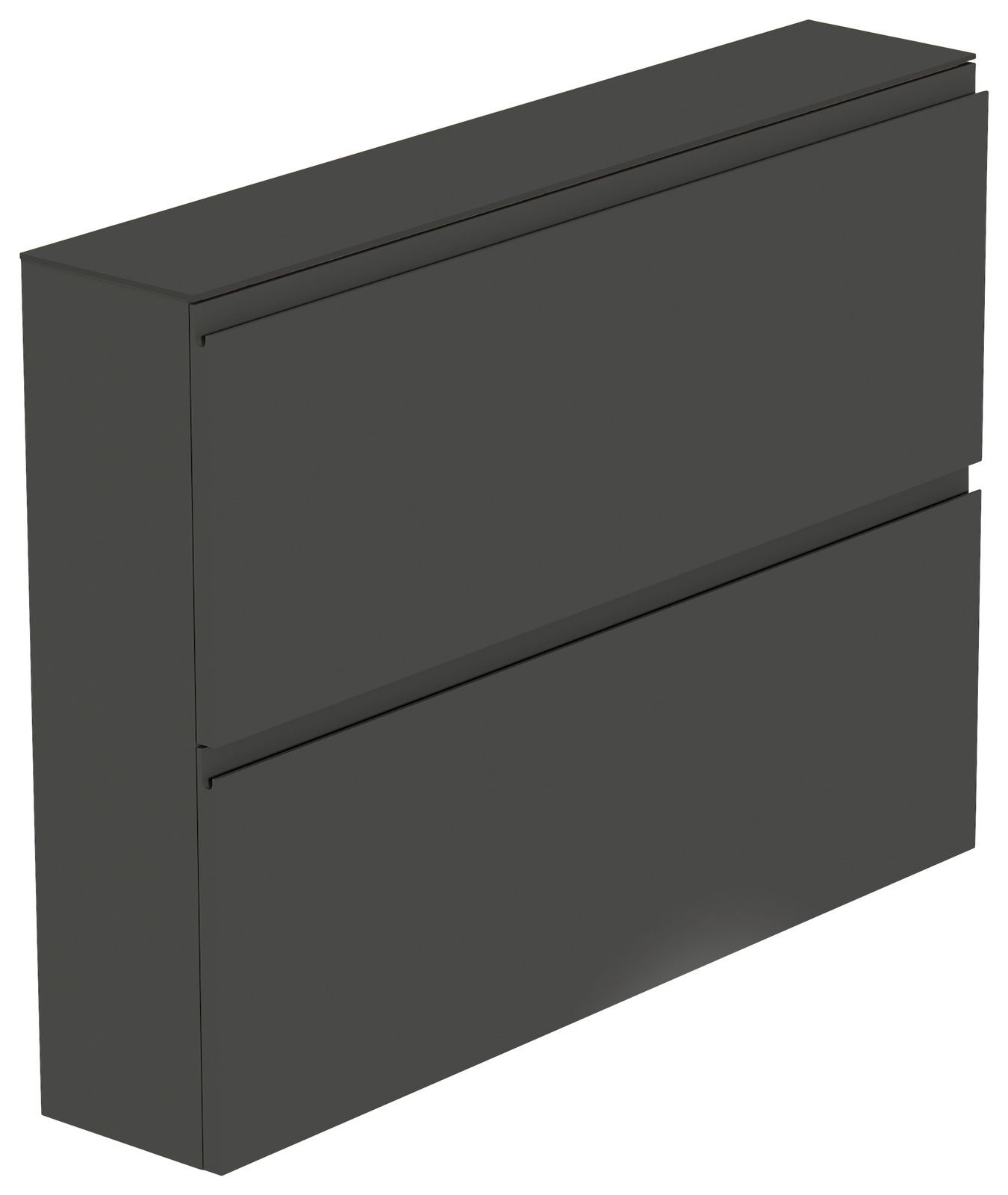 Schwarzer Hängeschuhschrank mit zwei Klappen, seitliche Perspektive