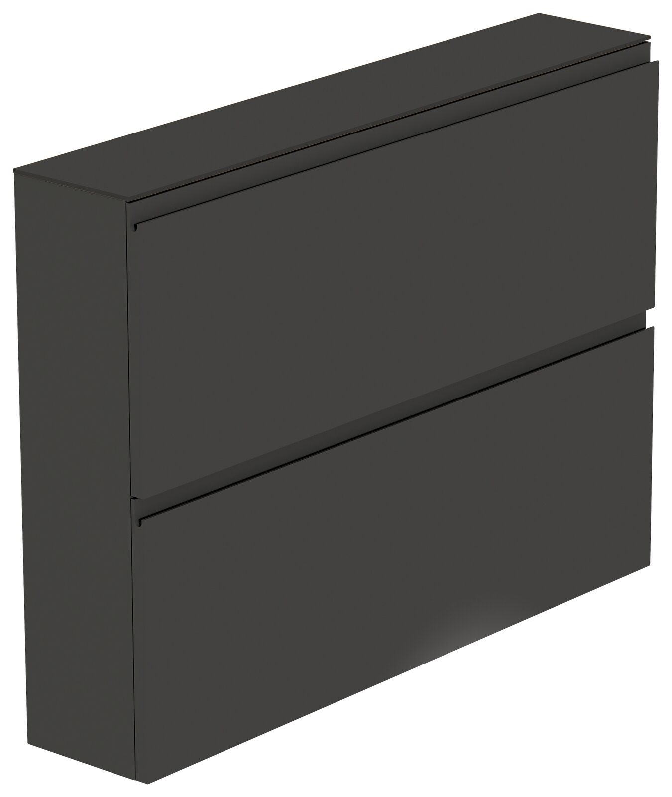 Schwarzer Hängeschuhschrank mit zwei Klappen, seitliche Perspektive