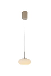 Moderne Pendelleuchte mit opalweißem, ovalem Glasschirm und Metallaufhängung, freigestellt auf weißem Hintergrund, Frontalansicht.