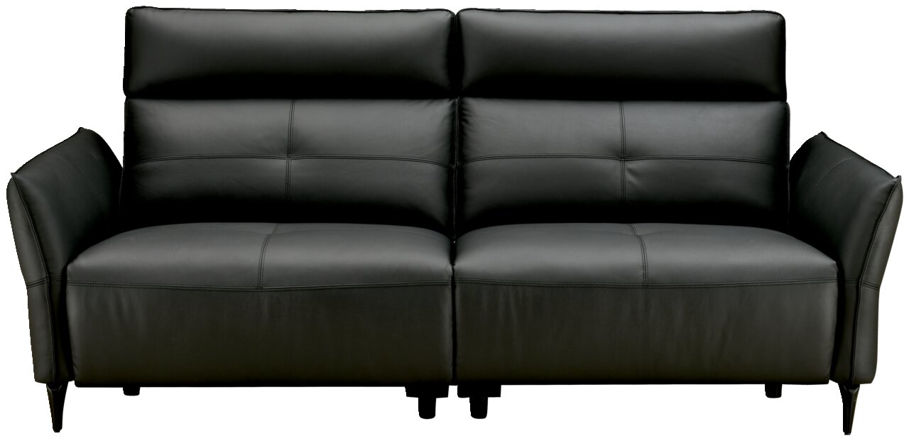Schwarzes Ledersofa, 2-Sitzer, Frontalansicht