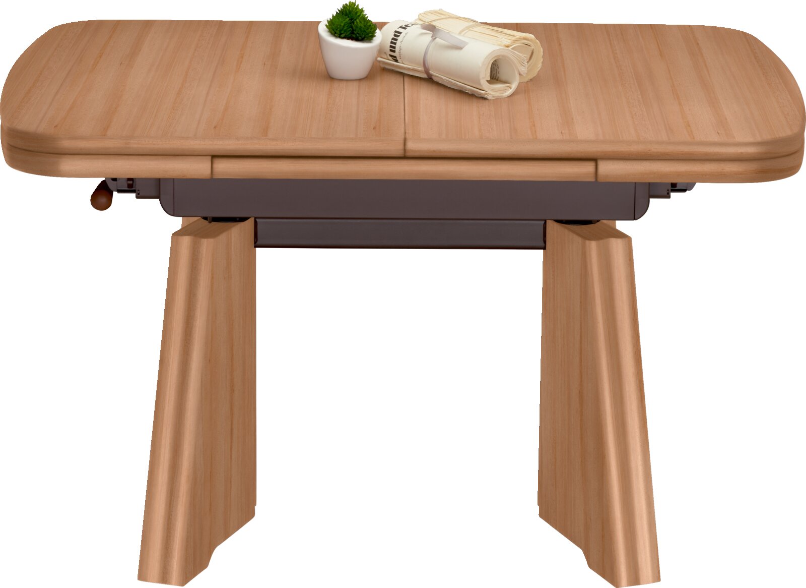 Moderner Couchtisch aus Holz mit rechteckiger Tischplatte und stabilen Beinen, frontal fotografiert. Auf dem Tisch stehen eine kleine Pflanze und zusammengerollte Zeitschriften.