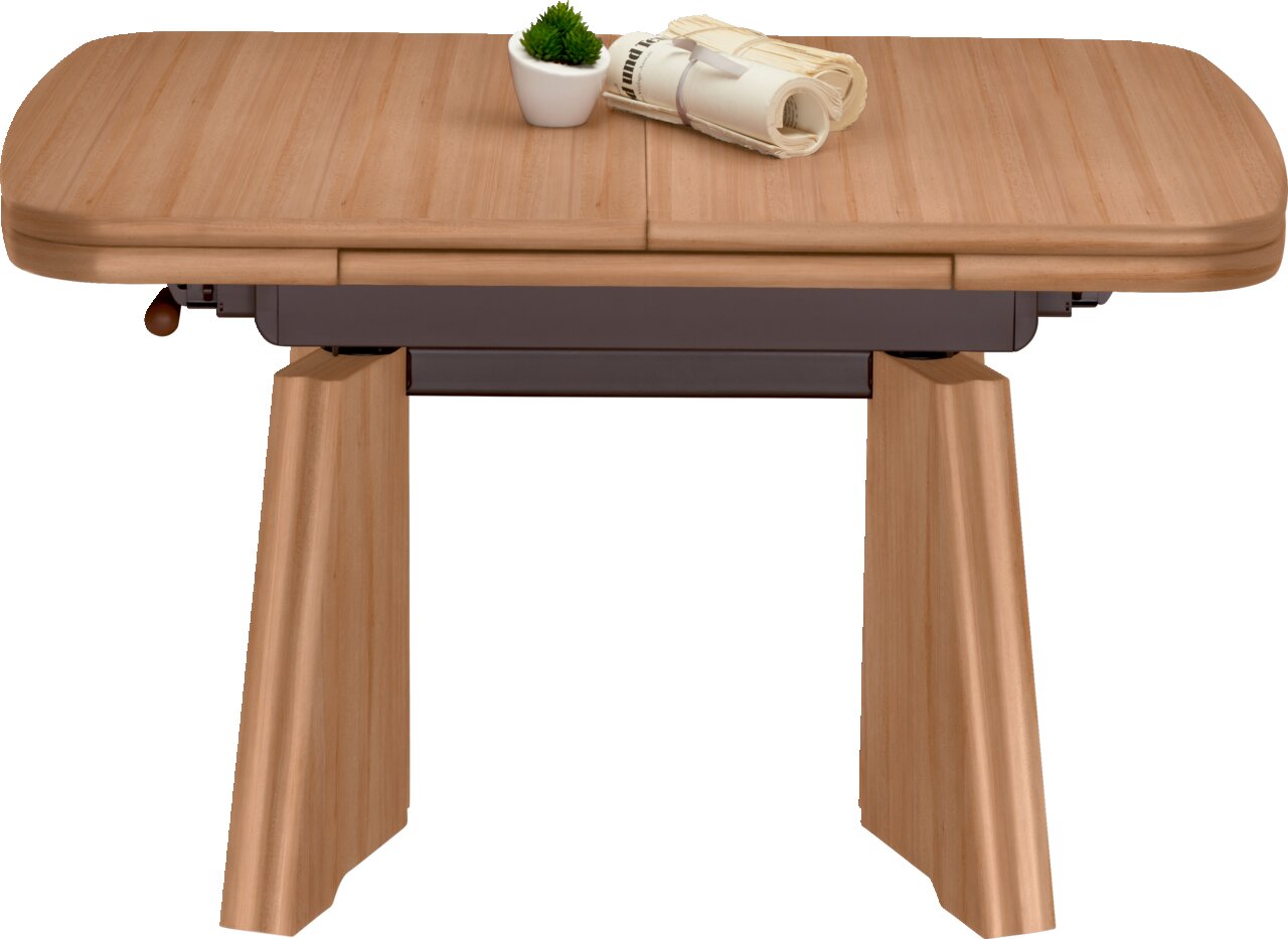 Moderner Couchtisch aus Holz mit rechteckiger Tischplatte und stabilen Beinen, frontal fotografiert. Auf dem Tisch stehen eine kleine Pflanze und zusammengerollte Zeitschriften.