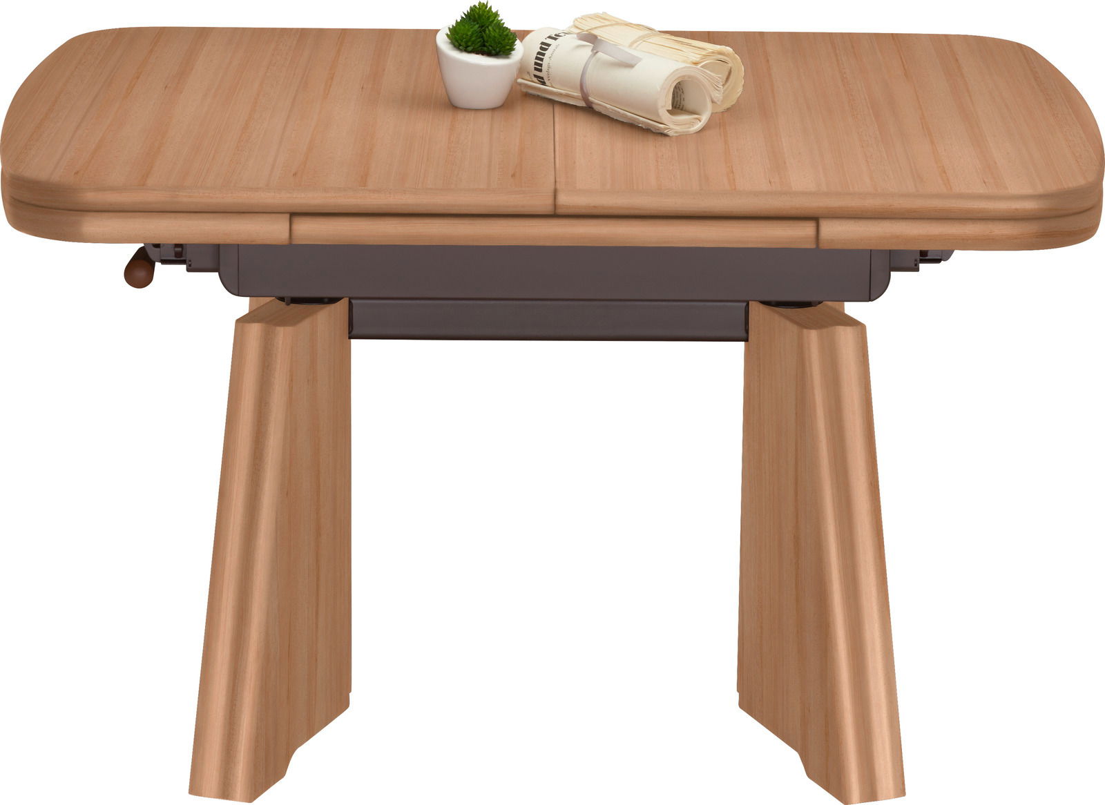 Moderner Couchtisch aus Holz mit rechteckiger Tischplatte und stabilen Beinen, frontal fotografiert. Auf dem Tisch stehen eine kleine Pflanze und zusammengerollte Zeitschriften.
