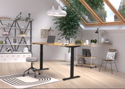 Moderner höhenverstellbarer E-Schreibtisch in einem stilvollen, hellen Raum mit Dachfenster, Pflanzen und Regalen, seitliche Perspektive.