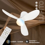 Witte plafondventilator met drie bladen, geïntegreerde ledlamp van 3.000 tot 6.500 K, zomer-/wintermodus en afstandsbediening, vanuit onderaanzicht weergegeven.