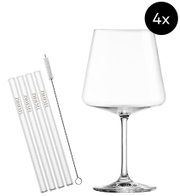 Zwiesel Glas Weinglas-Set (4x) mit vier transparenten Glasstrohhalmen und Reinigungsbürste, freigestellt auf weißem Hintergrund, Frontansicht leicht von oben.