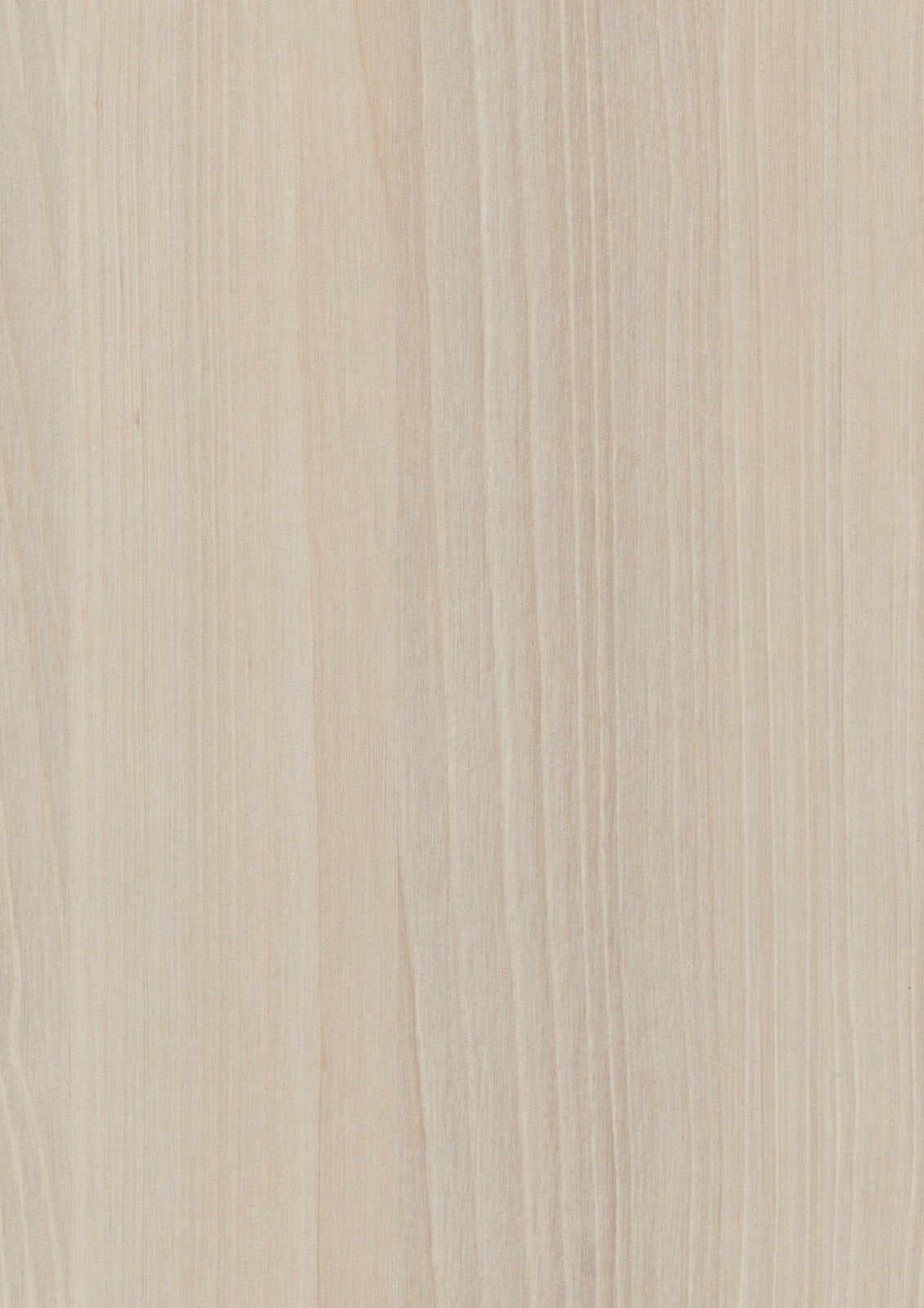 Holzoberfläche mit heller Maserung, Draufsicht