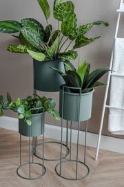 Dreiteiliges Pflanzgefäß-Set Essence in modernem Design, bestehend aus drei unterschiedlich hohen, grünen Metallständern mit Pflanzen, seitliche Perspektive.