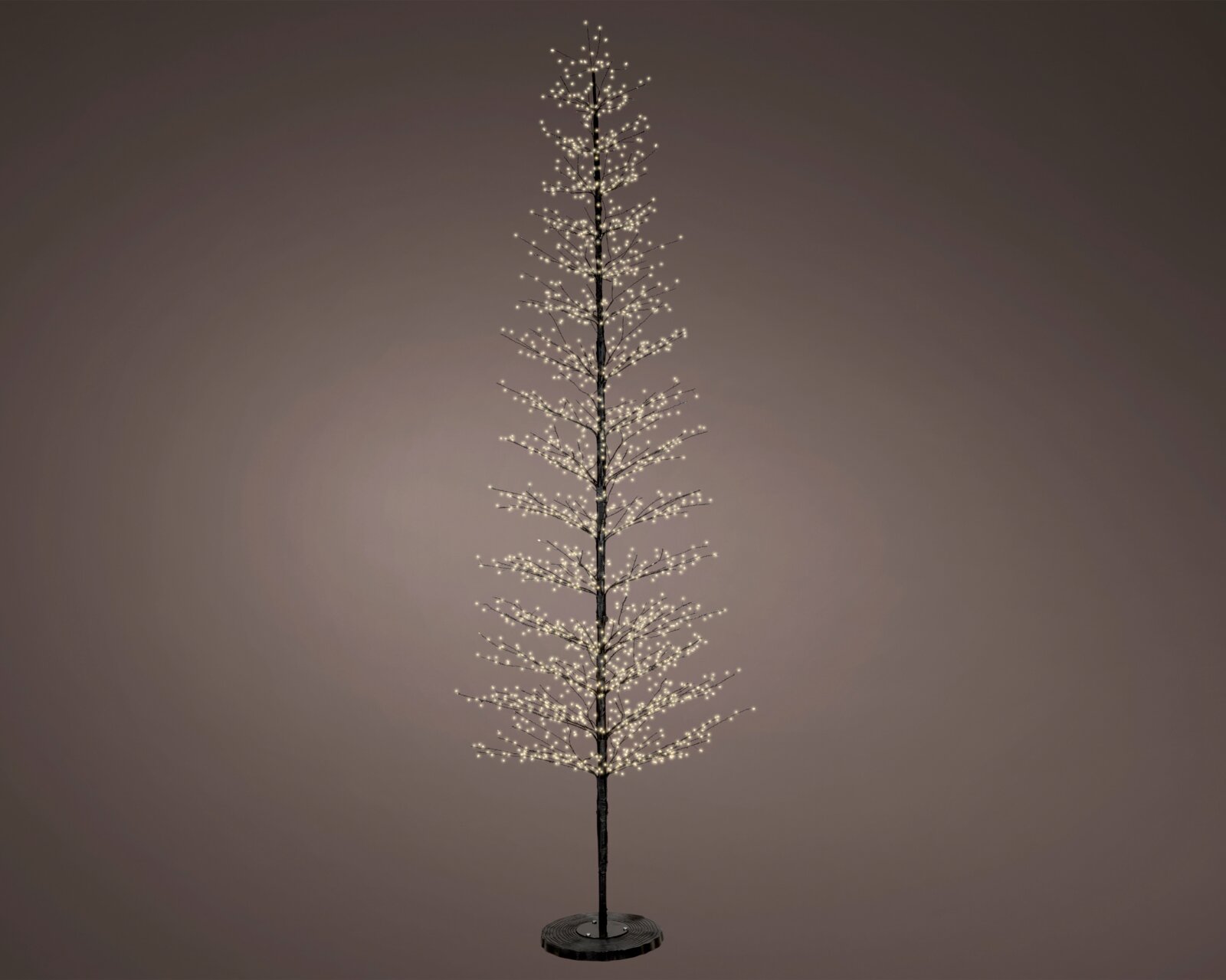 Slanke zwarte decoratieboom met fijne takken en talloze warmwitte ledlampjes op een ronde voet, volledig weergegeven in vooraanzicht.