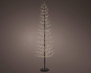 Slanke zwarte decoratieboom met fijne takken en talloze warmwitte ledlampjes op een ronde voet, volledig weergegeven in vooraanzicht.