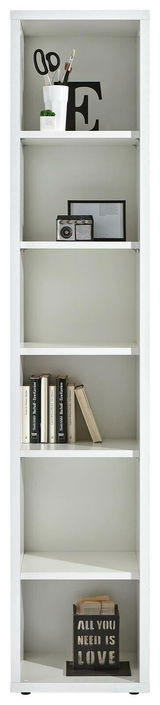 Weißes Regal mit mehreren Fächern, gefüllt mit Büchern, Dekorationen und einem Pflanzentopf, frontal betrachtet.