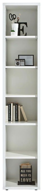 Weißes Regal mit mehreren Fächern, gefüllt mit Büchern, Dekorationen und einem Pflanzentopf, frontal betrachtet.