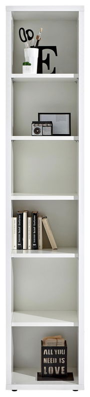 Weißes Regal mit mehreren Fächern, gefüllt mit Büchern, Dekorationen und einem Pflanzentopf, frontal betrachtet.