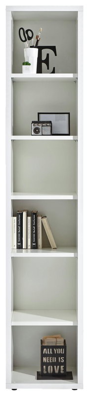 Weißes Regal mit mehreren Fächern, gefüllt mit Büchern, Dekorationen und einem Pflanzentopf, frontal betrachtet.