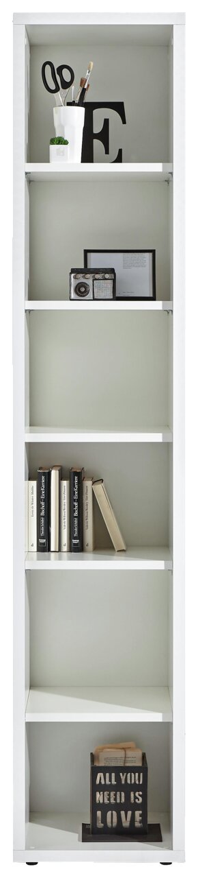 Weißes Regal mit mehreren Fächern, gefüllt mit Büchern, Dekorationen und einem Pflanzentopf, frontal betrachtet.