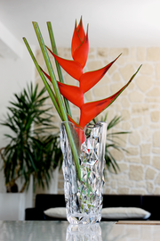 Kristallvase mit facettiertem Design, gefüllt mit exotischen roten Blumen, auf einem Tisch in einem modernen Wohnzimmer, seitliche Perspektive.