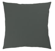 Dunkelgraues Kissen in Frontalansicht