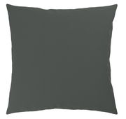 Dunkelgraues Kissen in Frontalansicht