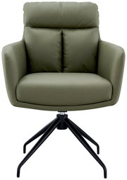 Grüner Armlehnstuhl mit schwarzem Metallgestell, Frontalansicht