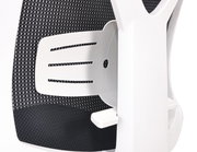 Nahaufnahme der Rückenlehne eines weißen Drehstuhls mit schwarzem Netzstoff, seitliche Perspektive