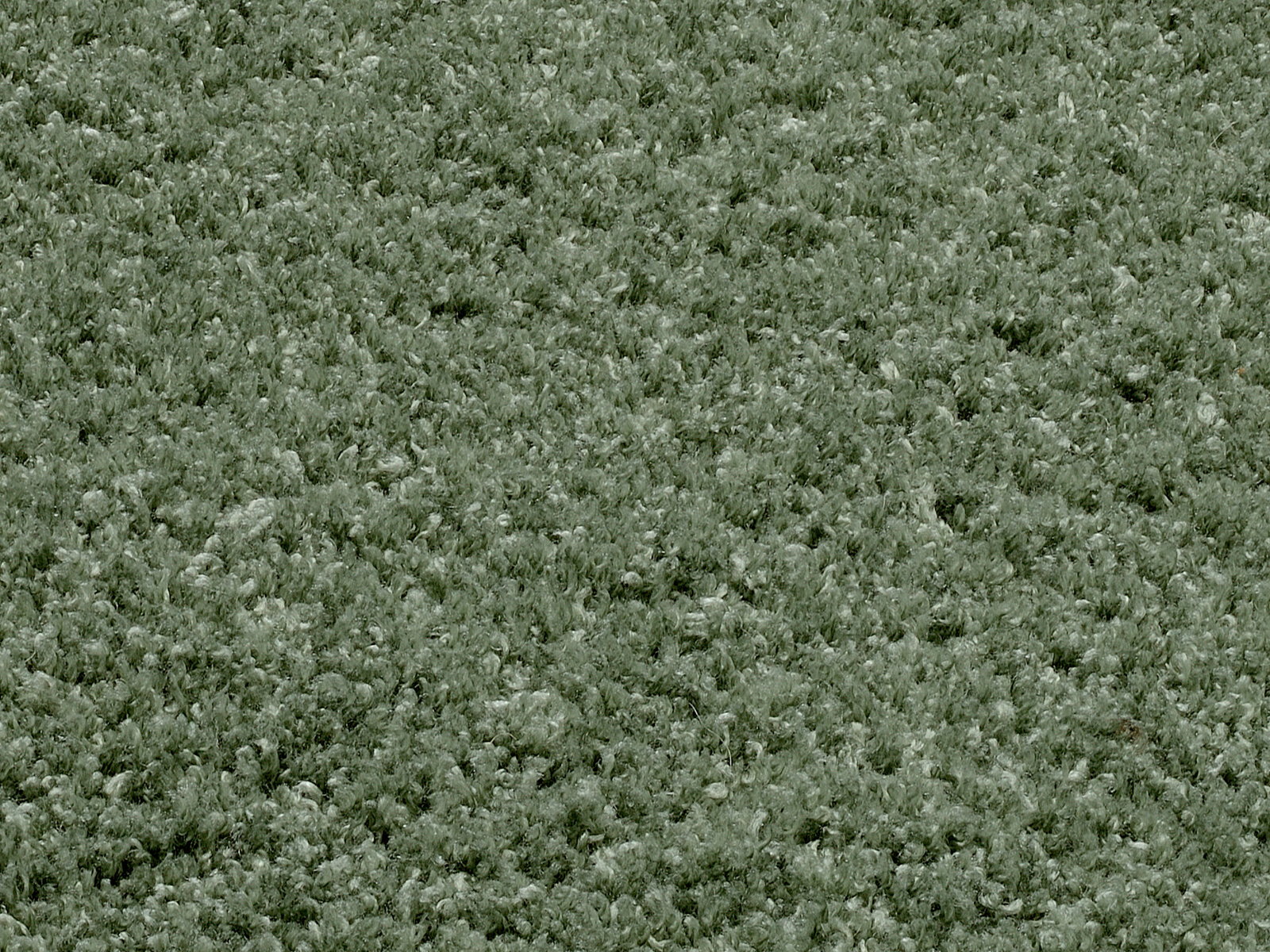 Nahaufnahme eines weichen, grünen Teppichs mit flauschiger Textur.
