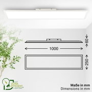Weiße, rechteckige LED-Deckenleuchte als flaches Panel in Draufsicht, daneben technische Maßskizze mit Abmessungen 1000 x 250 mm und 60 mm Höhe (Maße in mm)