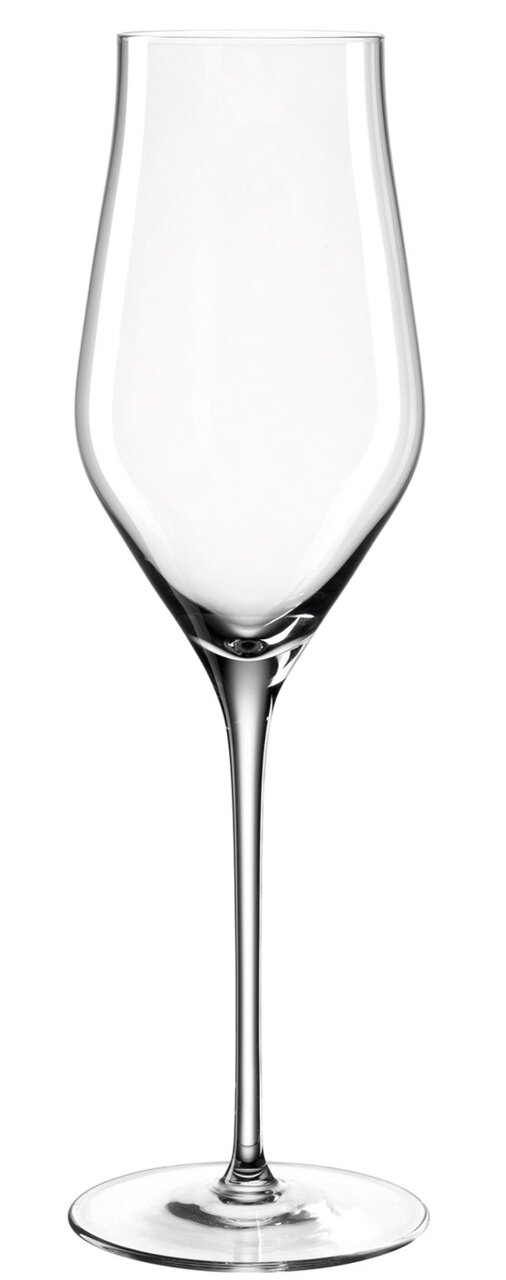 Leonardo Champagneglas BRUNELLI Champagnerglas Brunelli 340ml, seitliche Ansicht