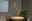 Moderne Hängeleuchte mit fünf kugelförmigen, transparenten Lampenschirmen, die in einem eleganten Esszimmer über einem runden Tisch hängen. Seitliche Perspektive.