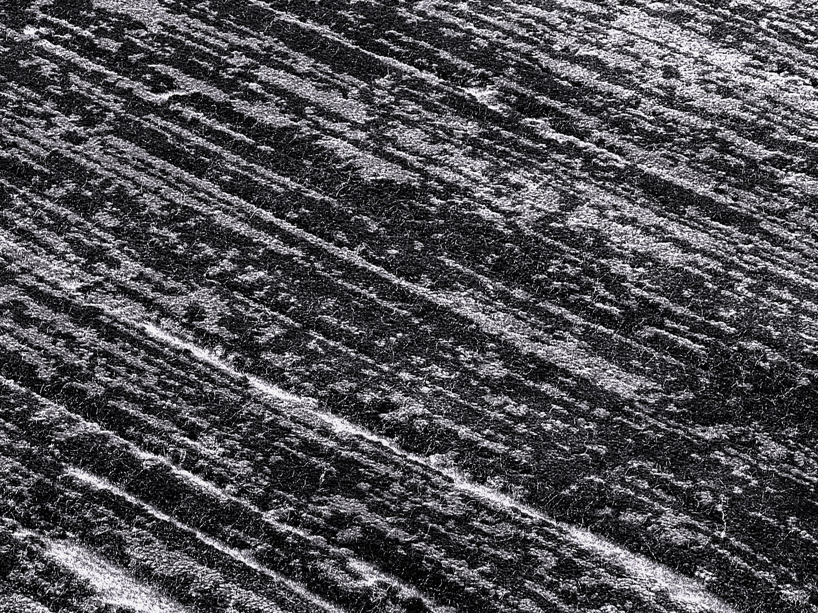 Nahaufnahme eines Designer Teppichs mit abstraktem, gestreiftem Muster in Schwarz-Weiß, diagonale Perspektive
