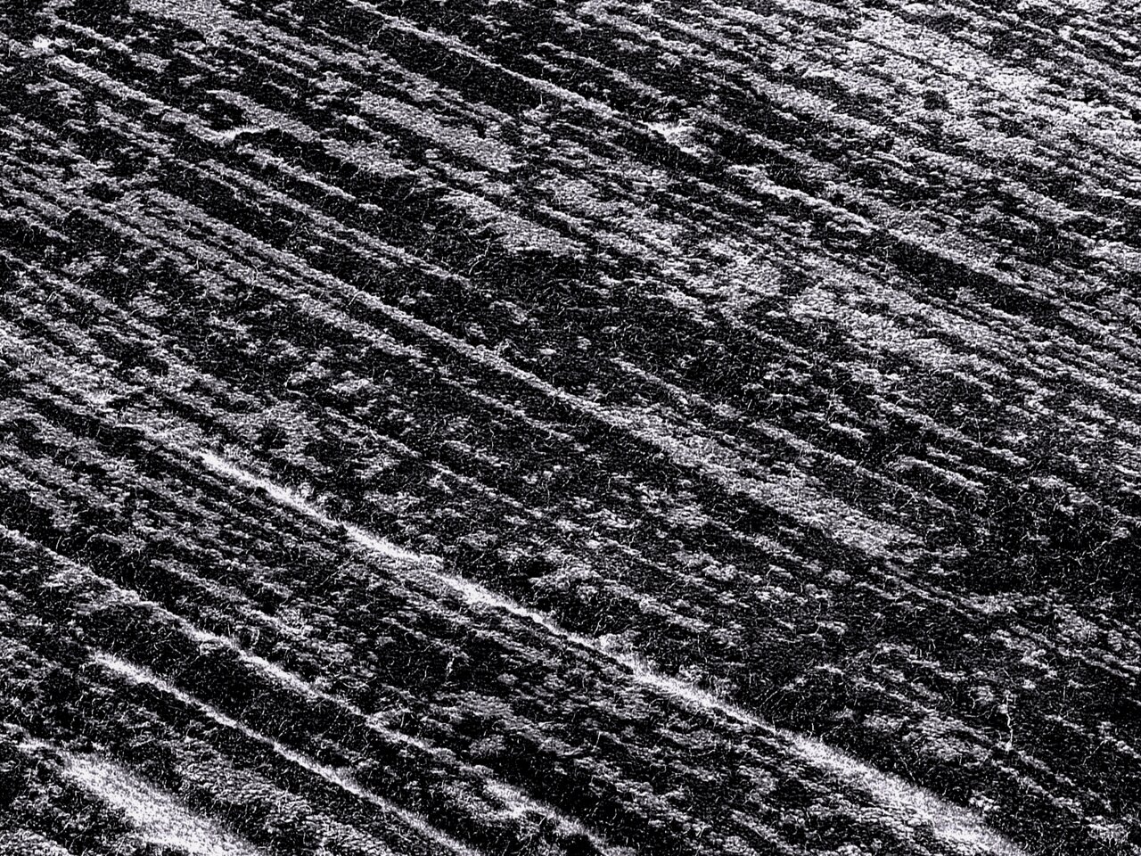 Nahaufnahme eines Designer Teppichs mit abstraktem, gestreiftem Muster in Schwarz-Weiß, diagonale Perspektive