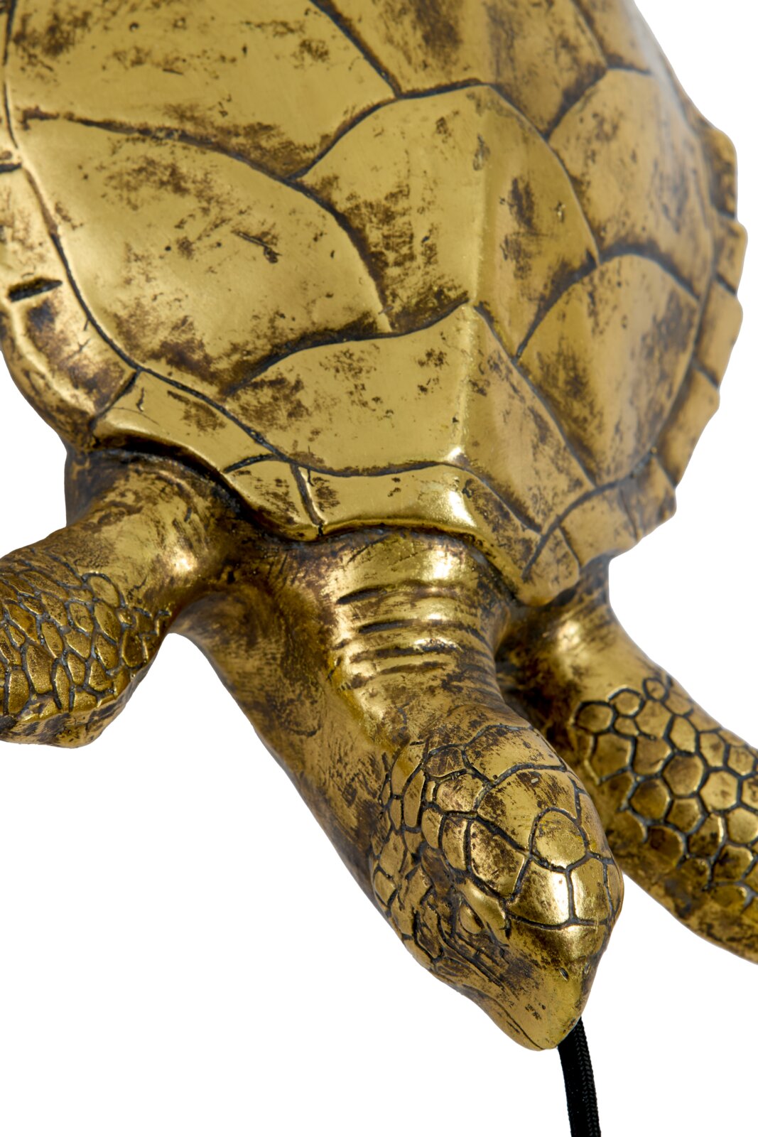 Close-up vanuit schuin bovenaanzicht van een decoratieve goudkleurige schildpad met verweerde afwerking en gedetailleerd schild