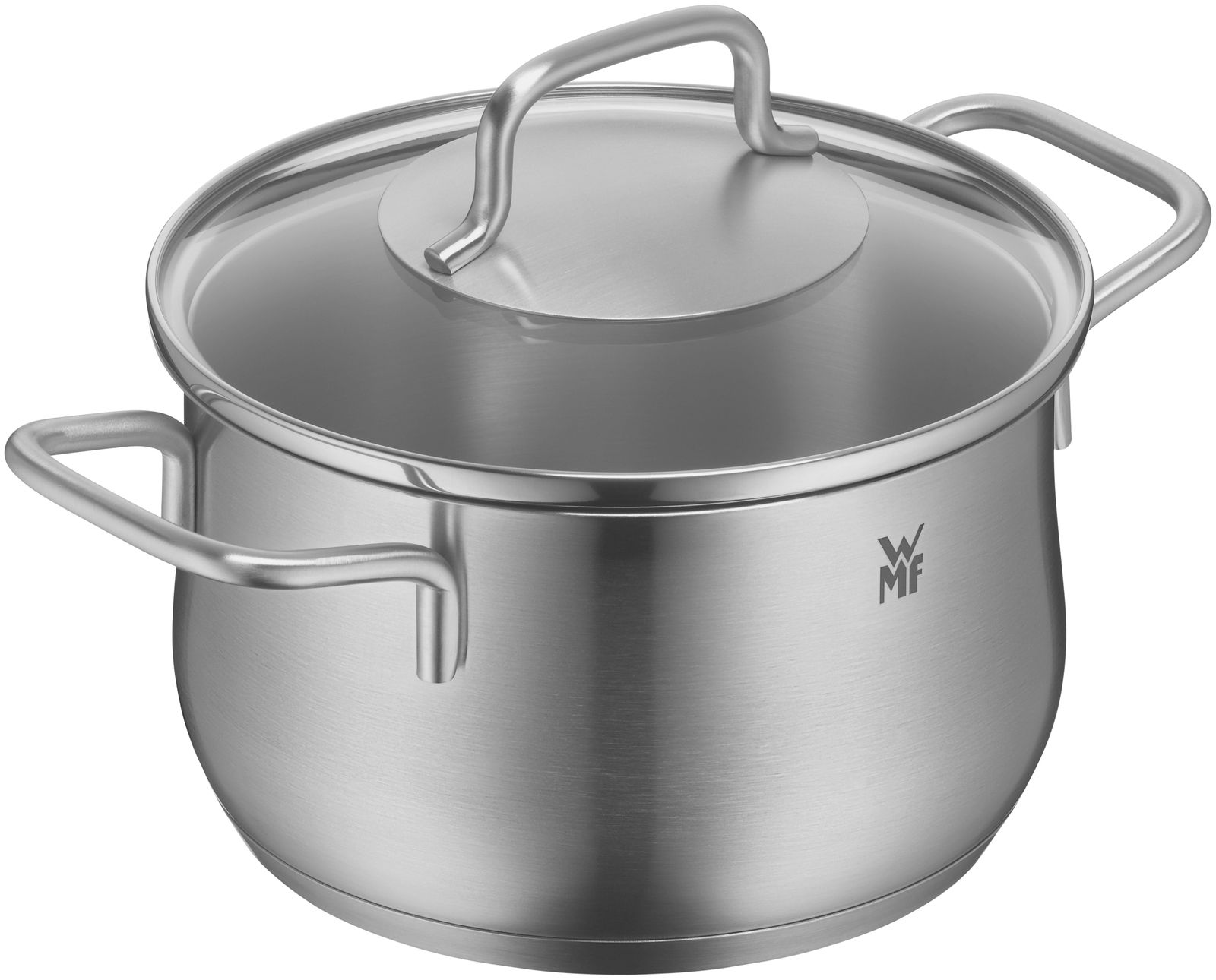 Edelstahlkochtopf mit Deckel und zwei Griffen, seitliche Perspektive