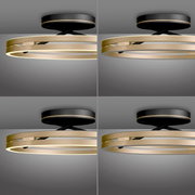 Moderne plafondlamp PURE Loop in goud en zwart, zijaanzicht.
