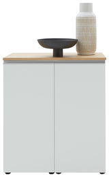 Frontansicht einer modernen Kommode mit zwei Türen, einer Holzoberfläche und dekorativen Objekten darauf.