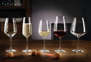 Fünf Weingläser in verschiedenen Formen und Größen auf einem Holztisch, gefüllt mit Rotwein, Weißwein und Sekt, aus frontaler Perspektive.