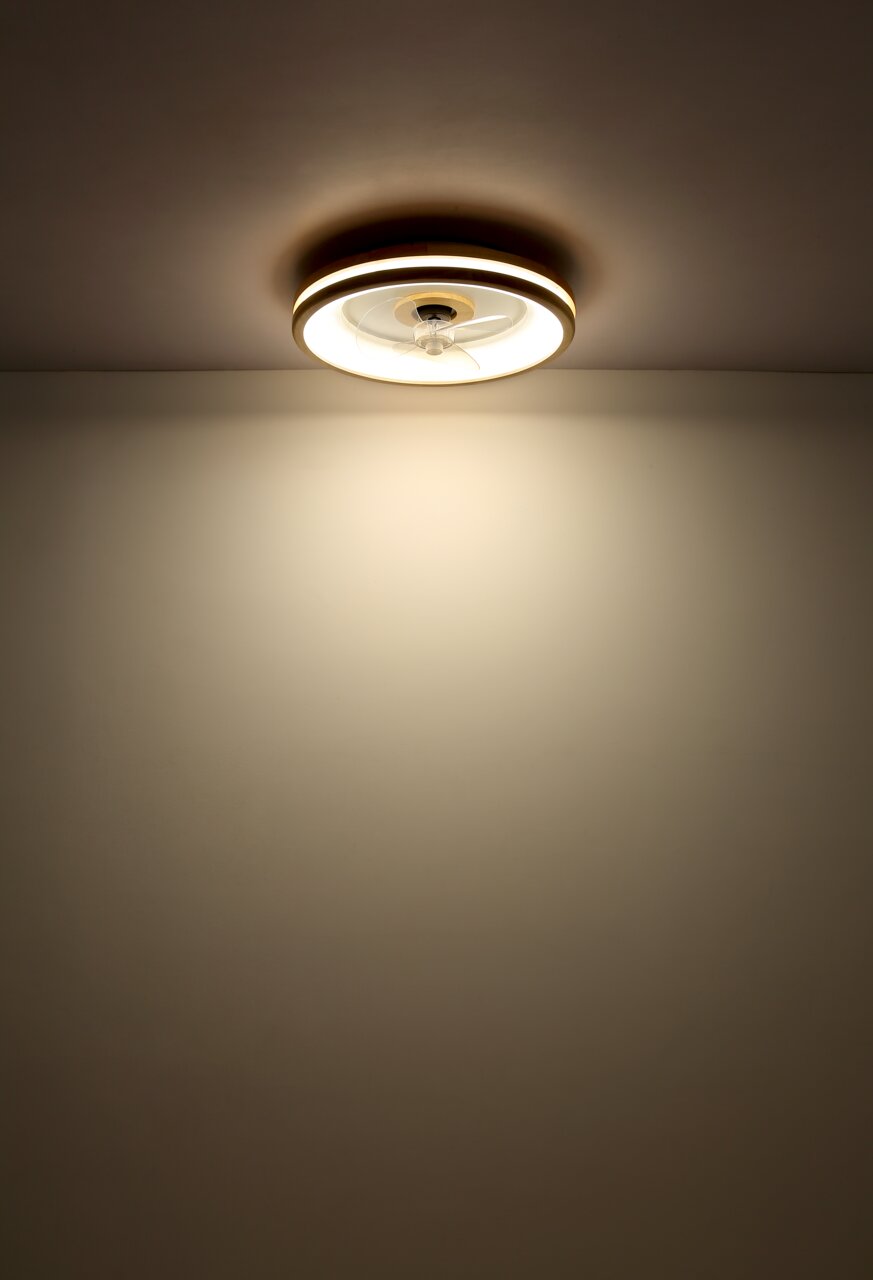 Deckenventilator Globo Lighting GATIAN mit Beleuchtung, von unten betrachtet