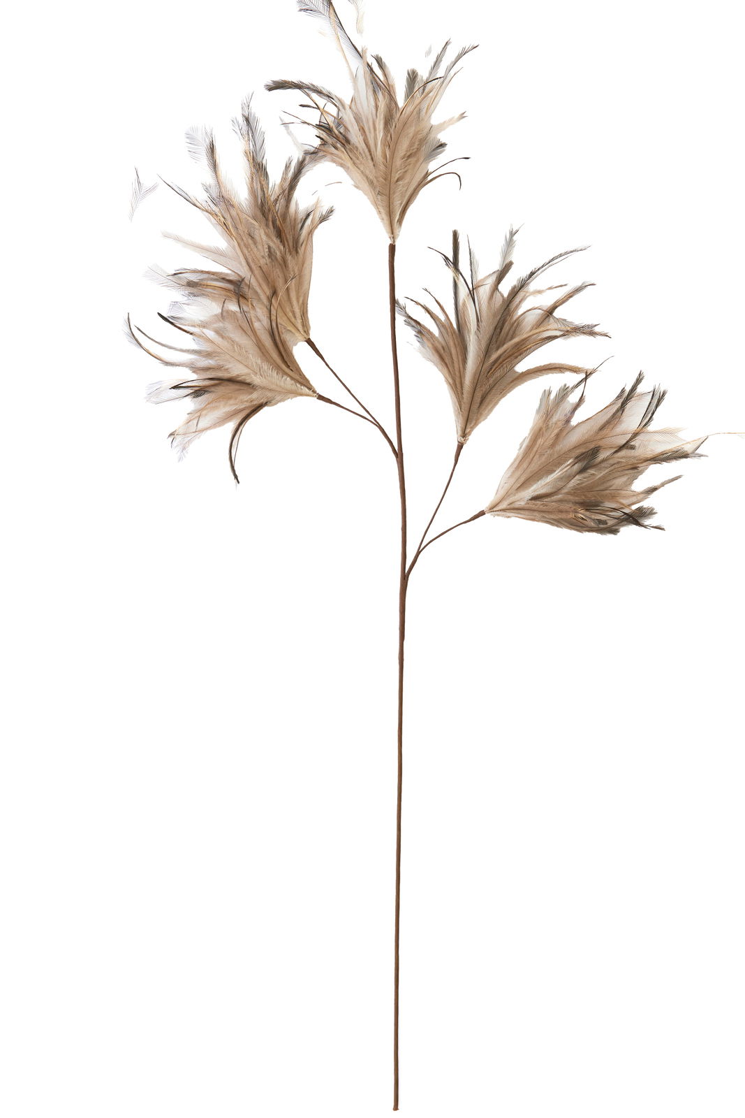 Light&Living Ornament FEATHER Dekorativer Zweig mit mehreren beigen, federartigen Blüten, seitliche Ansicht