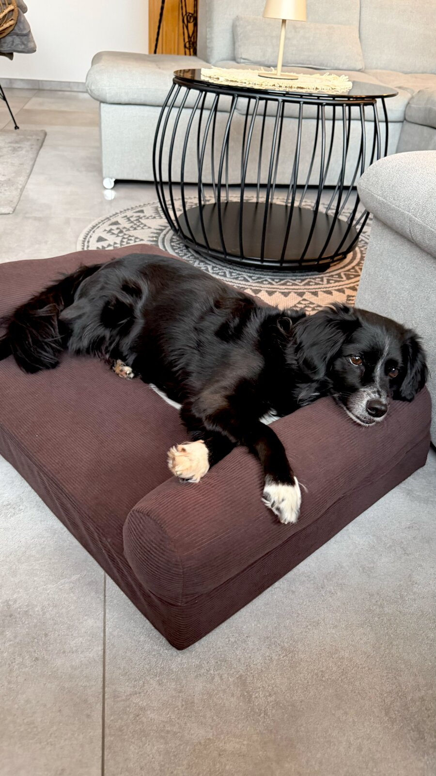 Braunes, rechteckiges Hundebett mit erhöhtem Rand im Wohnzimmer, darauf liegt ein schwarzer Hund fotografiert aus leicht erhöhter Perspektive schräg von vorn.