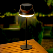 Solar Tischlampe auf einem Holztisch, beleuchtet in einer nächtlichen Gartenumgebung, seitliche Perspektive