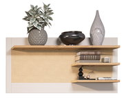 Wandregal mit drei Holzregalböden, dekoriert mit Pflanzen, Vasen und Büchern, aus frontaler Perspektive.