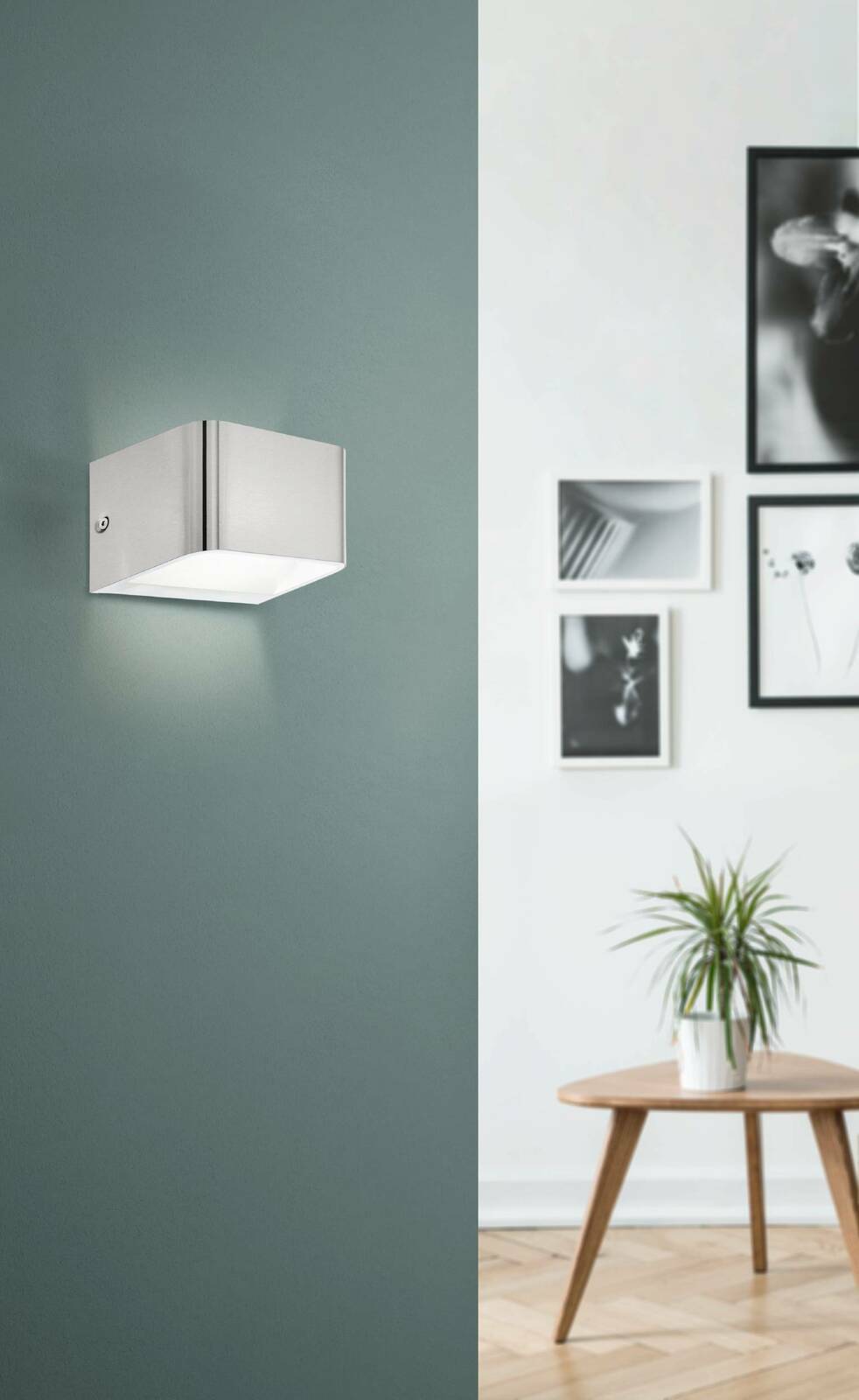 Moderne Wand- und Deckenleuchte SANIA 4 in gebürstetem Metall, seitliche Perspektive, montiert an einer grünen Wand in einem stilvoll eingerichteten Raum.