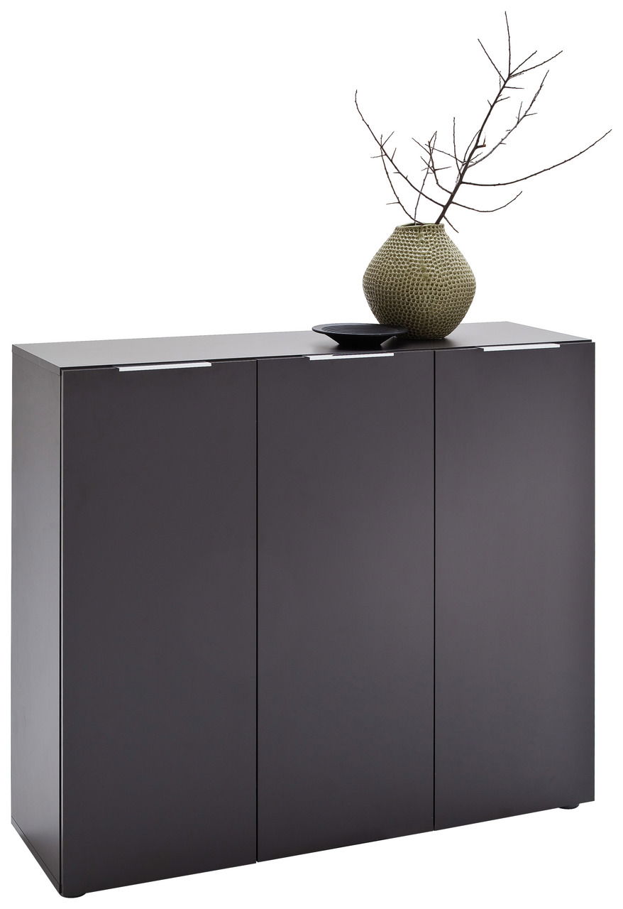 Carryhome XL-Schuhschrank VICENZA Moderner XL-Schuhschrank in dunklem Design mit drei Türen, dekoriert mit einer Vase und Zweigen, seitliche Perspektive