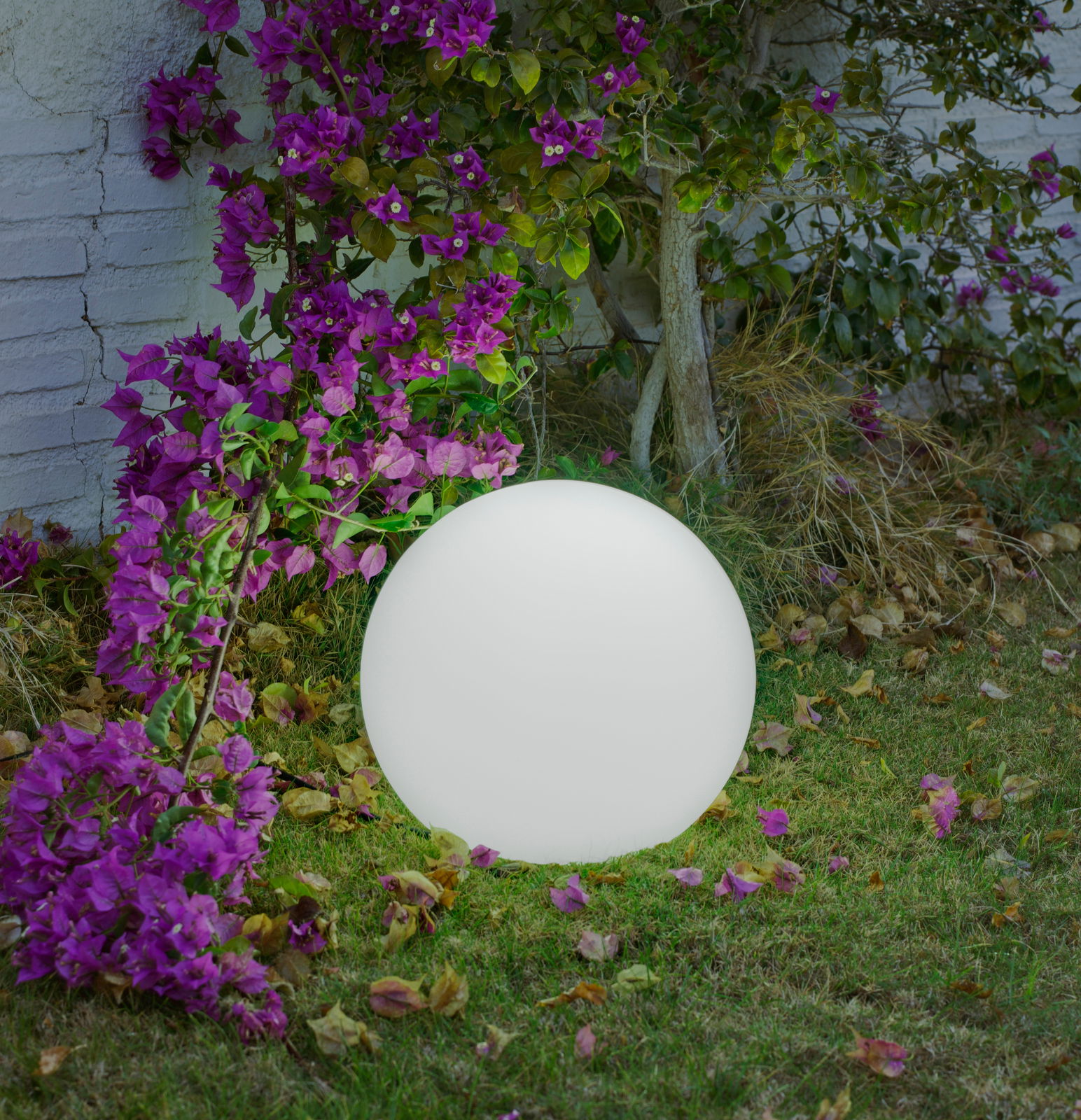 New Garden LED-Kugelleuchte BULY LED-Kugelleuchte Buly 20 kabel im Garten, umgeben von lila Blumen, seitliche Perspektive