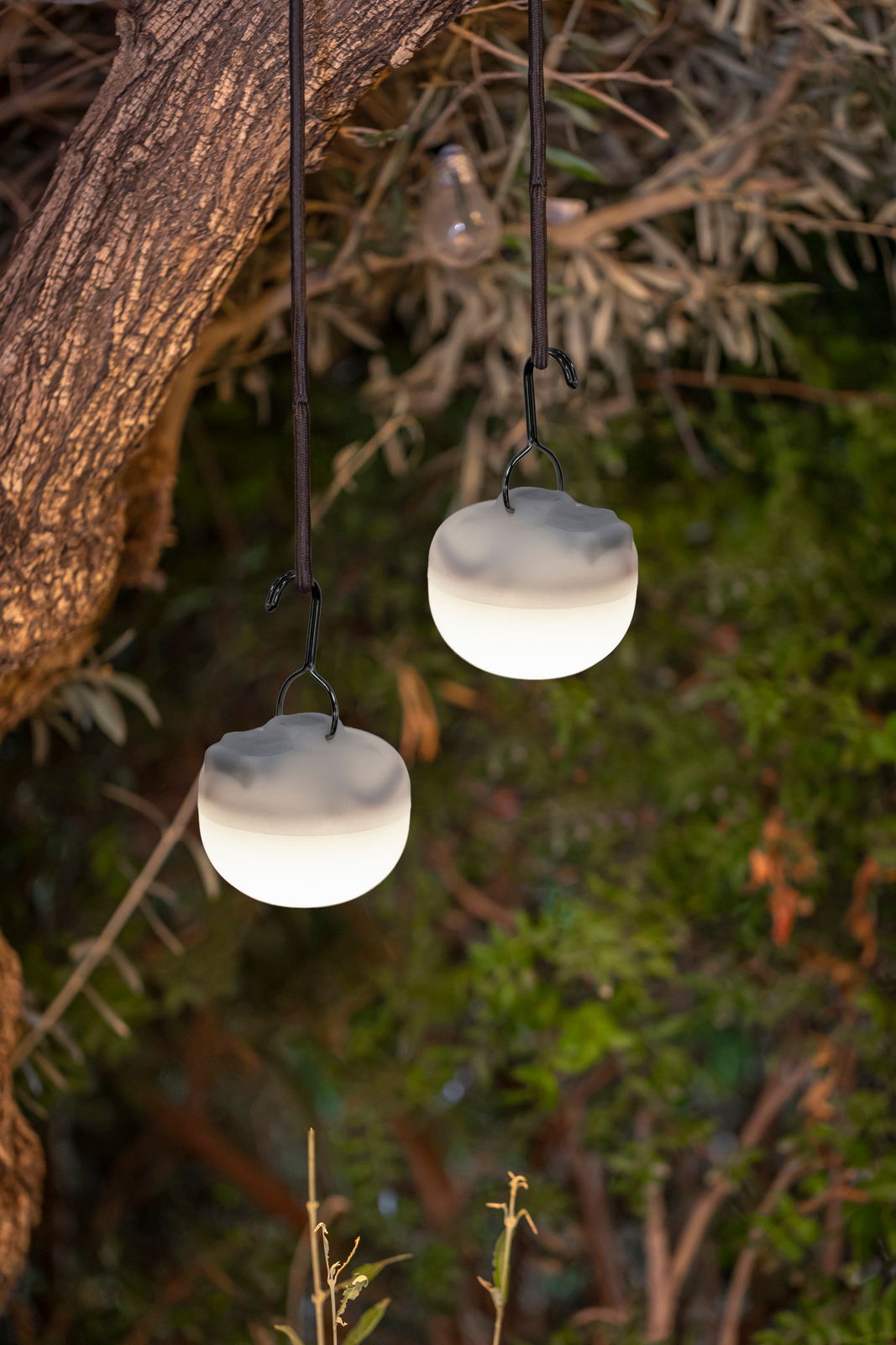 Zwei hängende Akku-Leuchtmittel CHERRY MINI in einem Baum, leuchtend in einer natürlichen Umgebung, seitliche Perspektive.