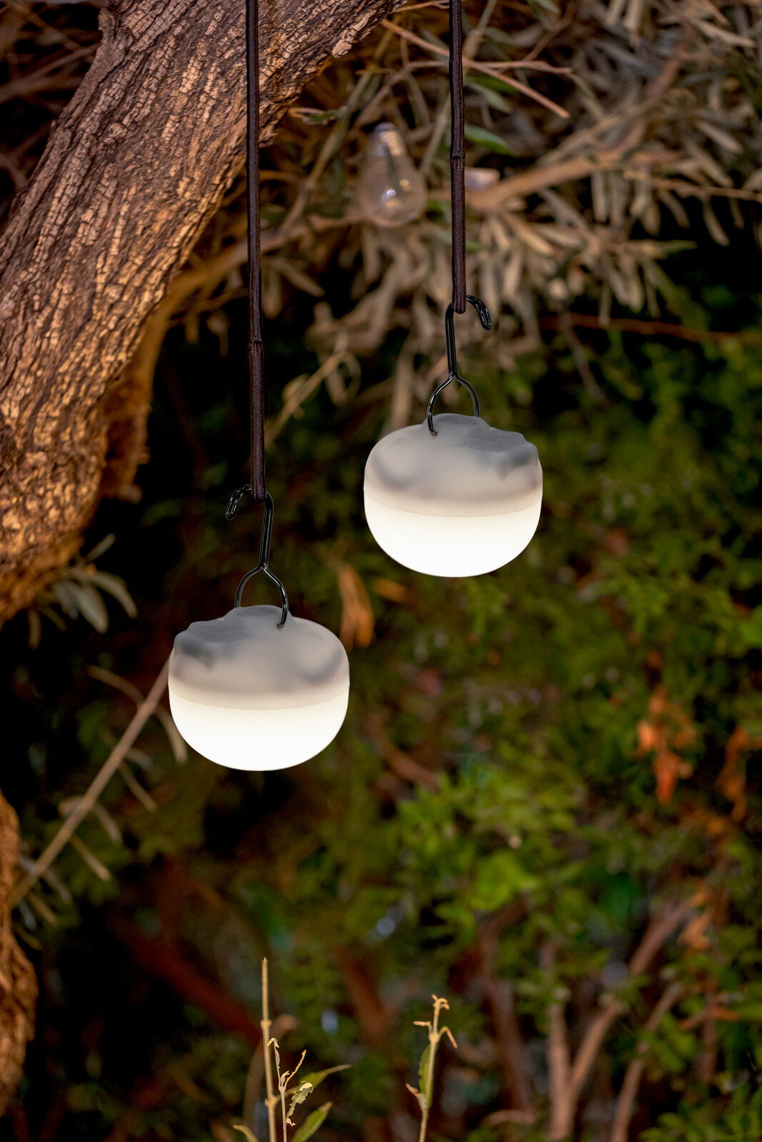 Zwei hängende Akku-Leuchtmittel CHERRY MINI in einem Baum, leuchtend in einer natürlichen Umgebung, seitliche Perspektive.