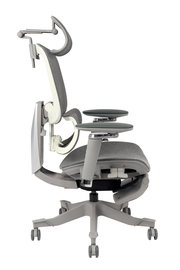Moderner ergonomischer Drehstuhl in Seitenansicht mit verstellbarer Kopfstütze und Armlehnen, graues Design auf Rollen.