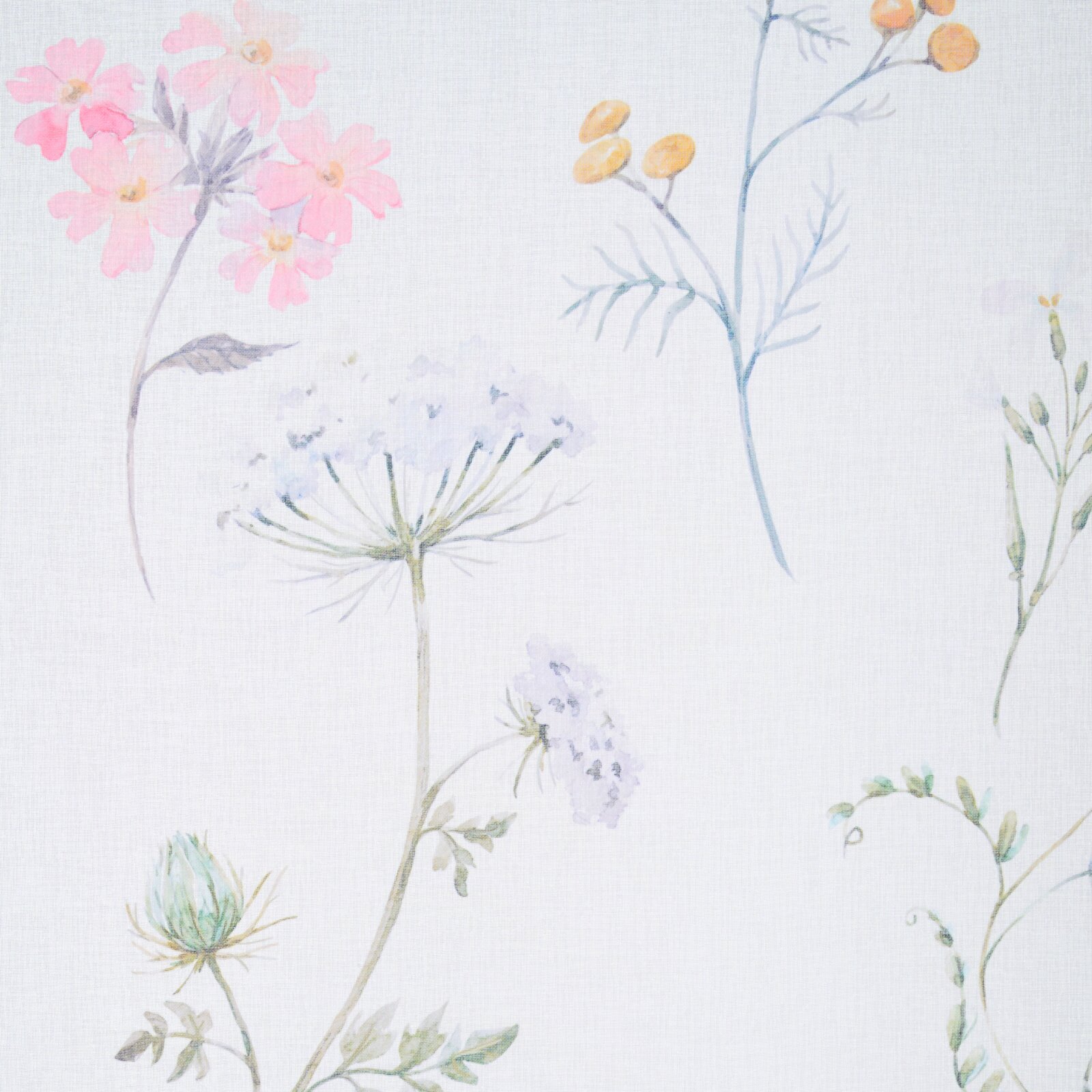 Aquarellartige Blumenillustration in Pastelltönen auf hellem Hintergrund, Draufsicht/Frontansicht auf die flache Oberfläche